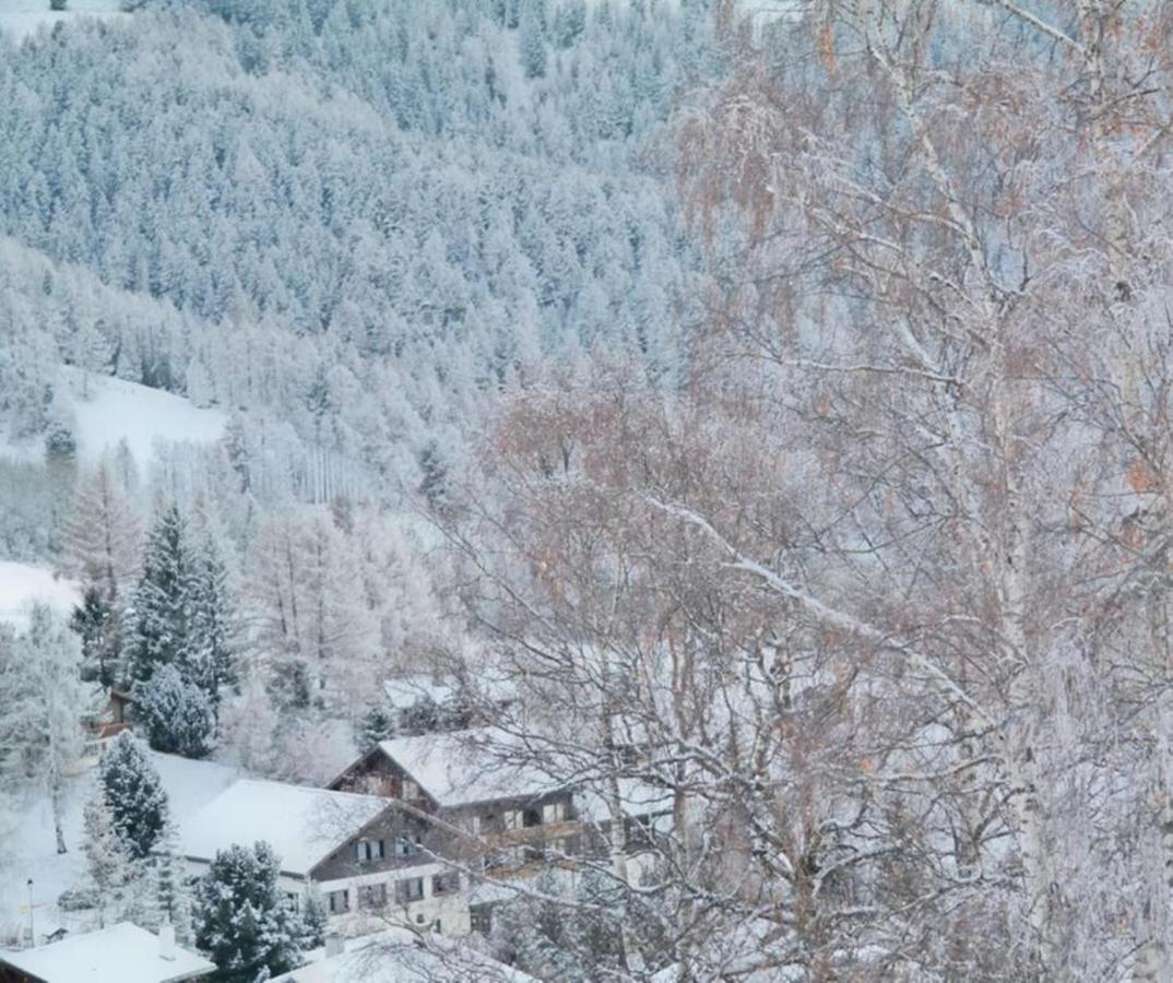 Hotel Restaurant Buerchnerhof Bürchen Екстериор снимка