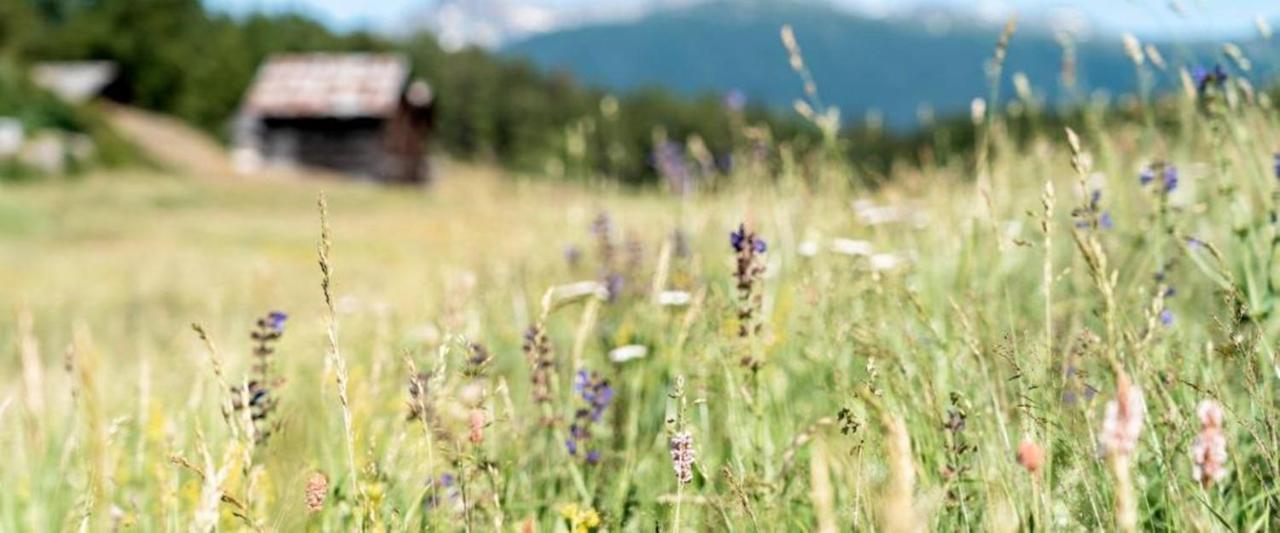 Hotel Restaurant Buerchnerhof Bürchen Екстериор снимка