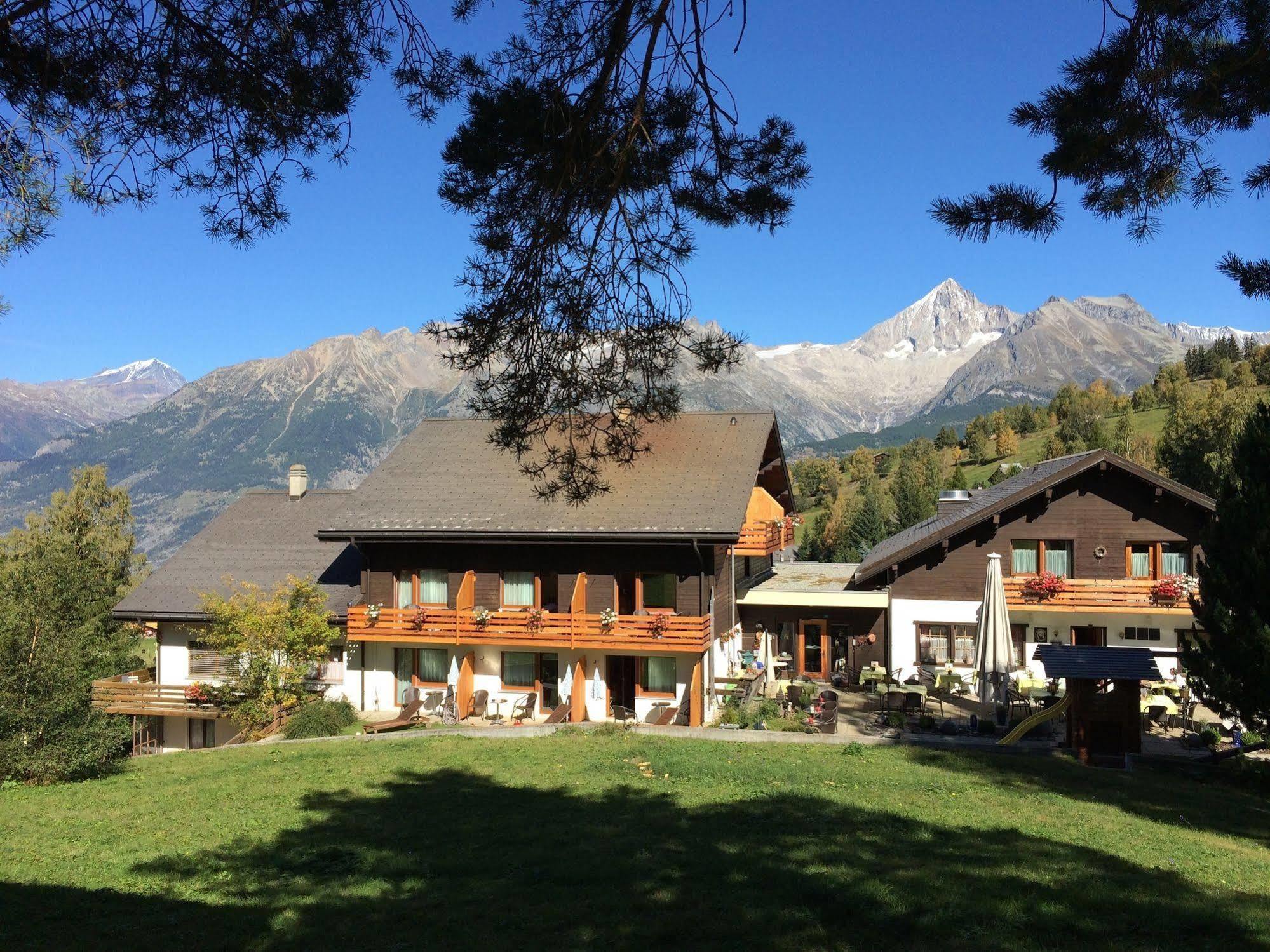 Hotel Restaurant Buerchnerhof Bürchen Екстериор снимка
